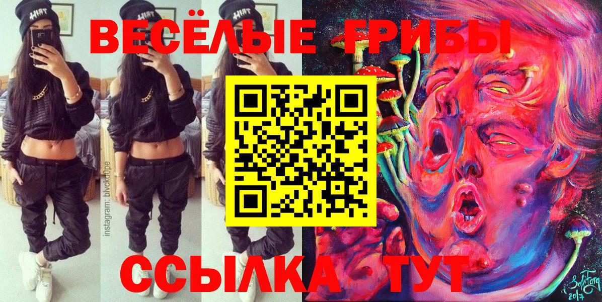 Галлюциногенные грибы Psilocybe  Галлюциногенные грибы мицелий  Елизово  Вход с VPN 
