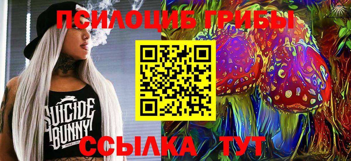 Псилоцибиновые грибы GOLDEN TEACHER Елизово